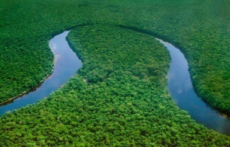 Какая река самая длинная в мире