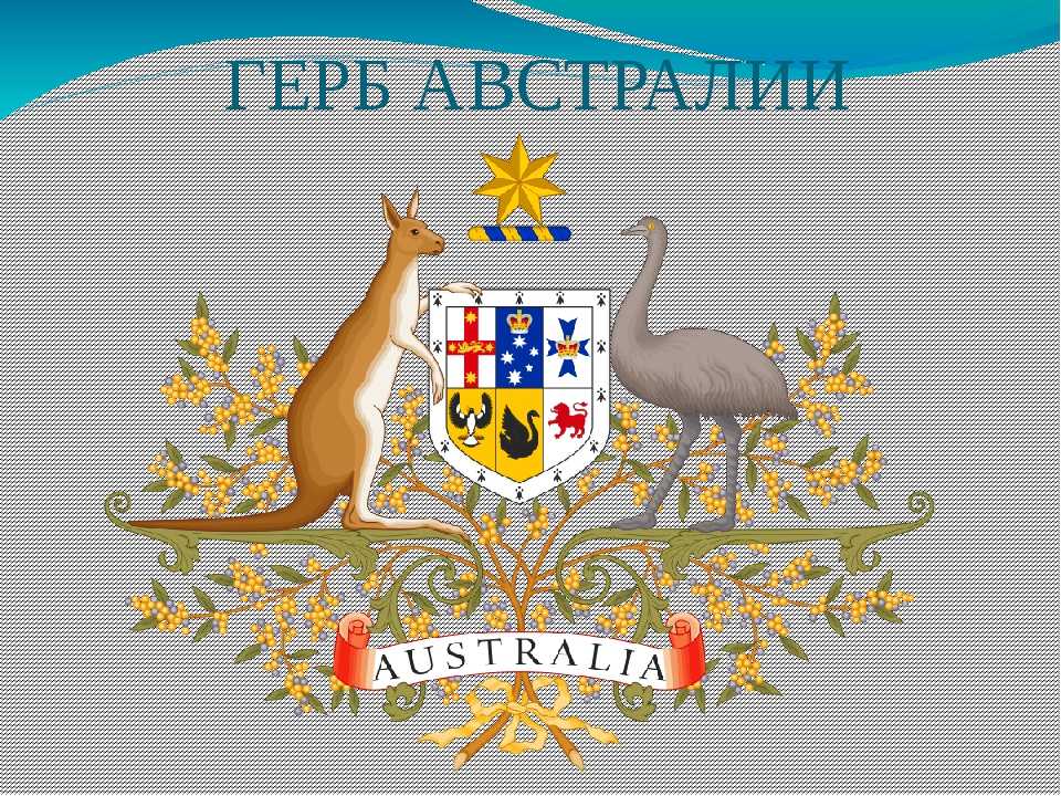 Какие животные изображены на гербе австралии?