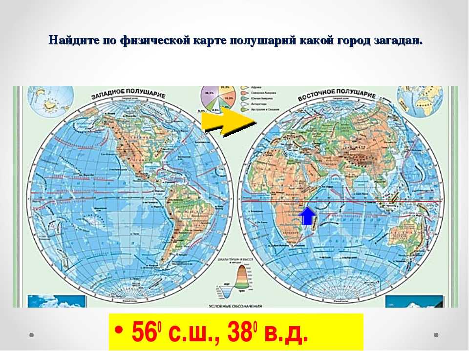 Скольких полушариях расположен материк евразия? - онлайн журнал "жизнь и работа"