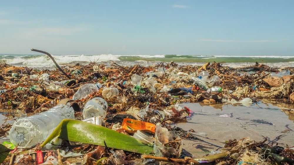 Откуда берется мусор в океане и как с ним бороться