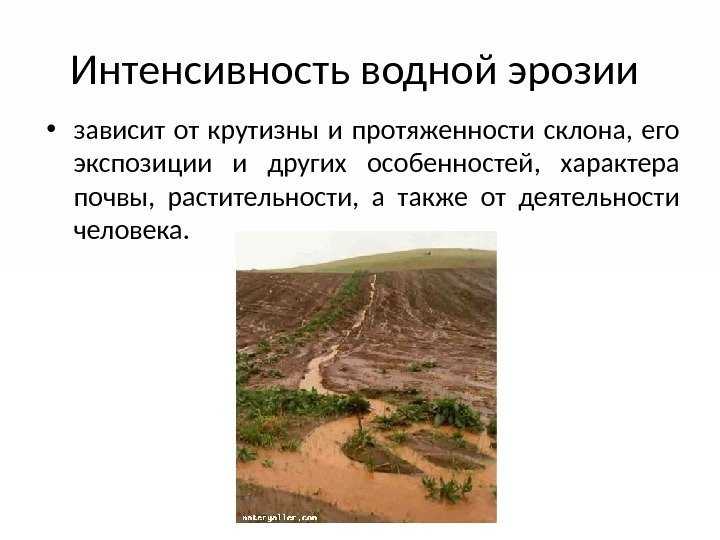 Эрозия почвы: что это такое, причины возникновения и виды эрозии почвы