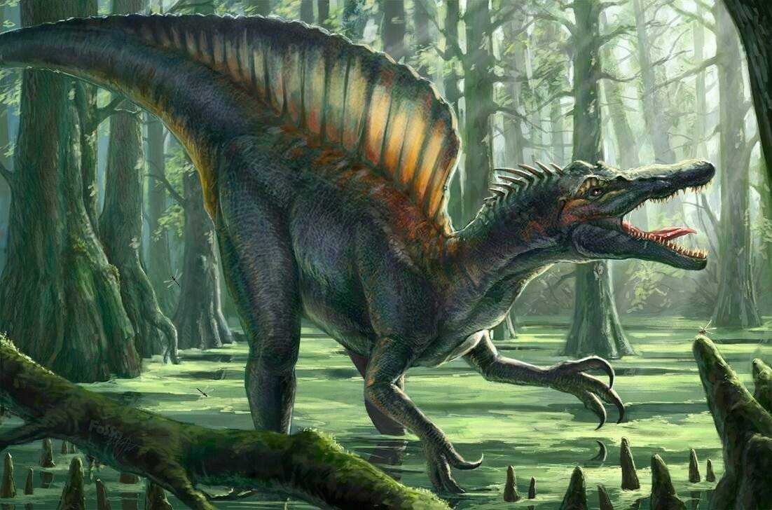 Эпохи в истории земли: динозавры, эры и периоды - динозаврики