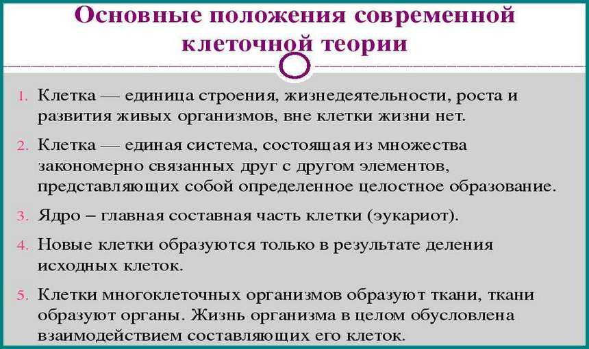 Согласно современной клеточной теории клетка. Основные положения клеточной теории биология. Основные положения первой клеточной теории. Основные положения и биологическое значение клеточной теории. Основные положения современной клеточной теории биология.