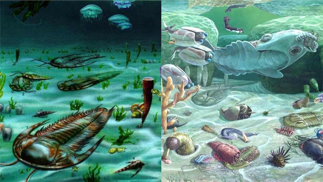 Краткая история пяти крупнейших массовых вымираний на земле