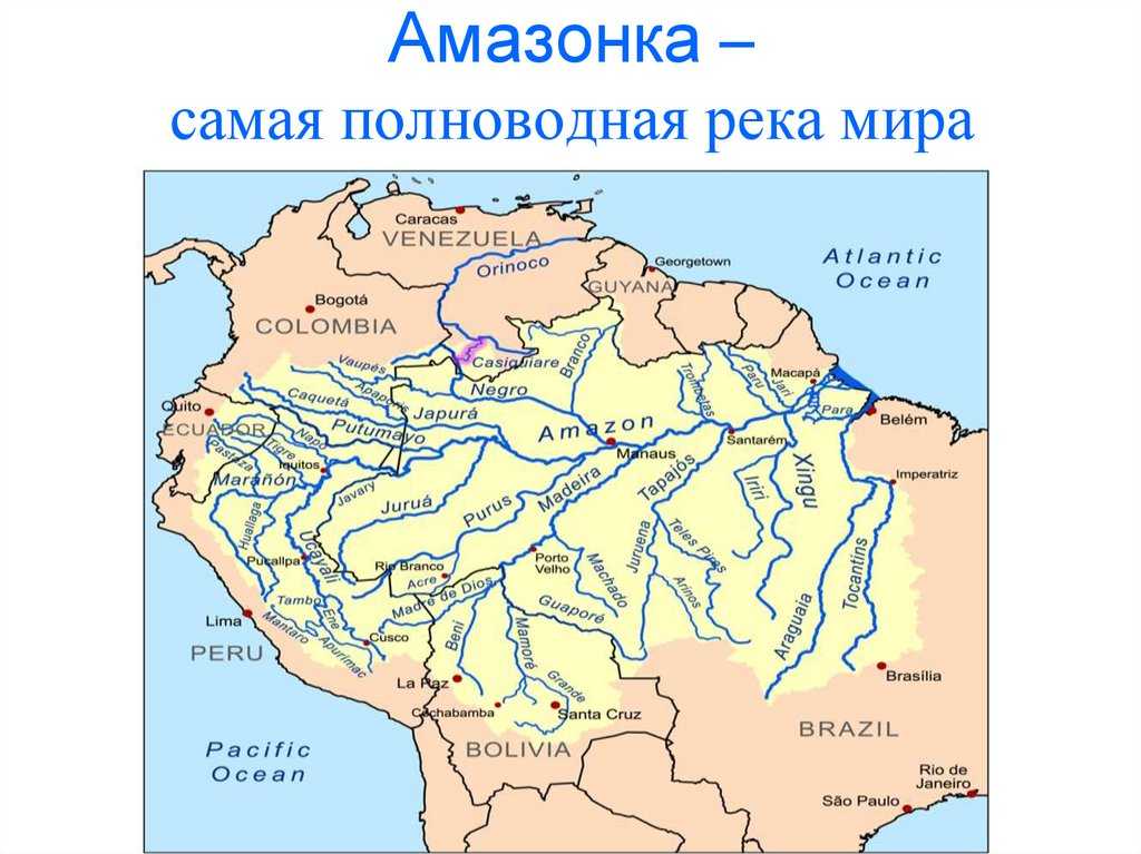 Река амазонка, бразилия — города и районы, экскурсии, достопримечательности реки амазонки от «тонкостей туризма»
