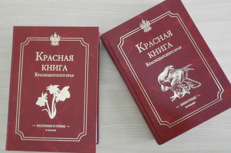 Исчезающие растения из красной книги россии