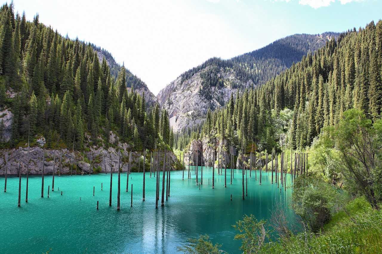 Природные зоны казахстана ️ особенности лесостепных и аридных регионов