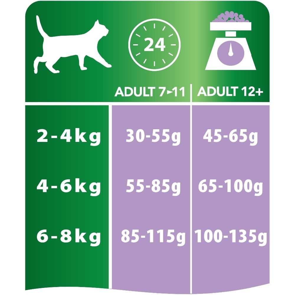 Чем кормить кошку для набора веса: 6 лучших калорийных корма
