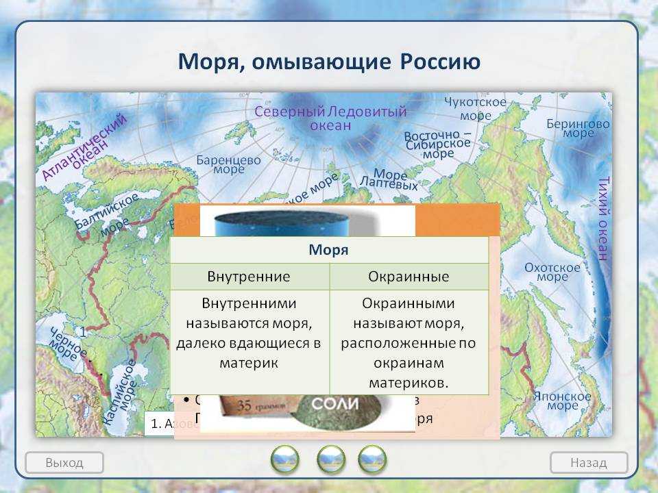 Моря омывающие россию — список, описание - моя география