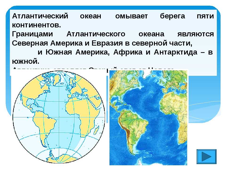 Океаны мира: карта, названия, описание, площадь, глубина, растения и животные