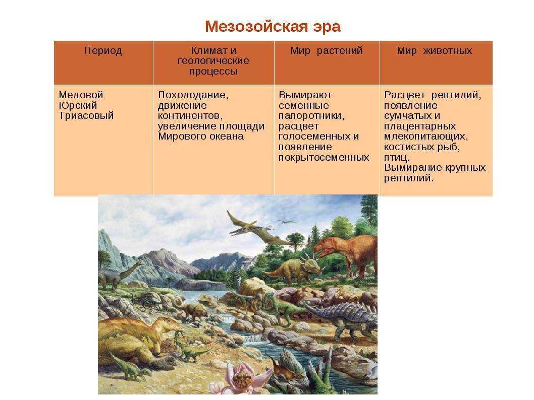 Краткое описание мезозойской эры и ее периодов