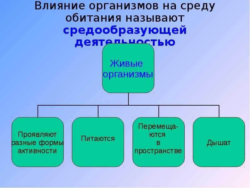 Что такое природная среда? виды и характеристики природной среды :: businessman.ru