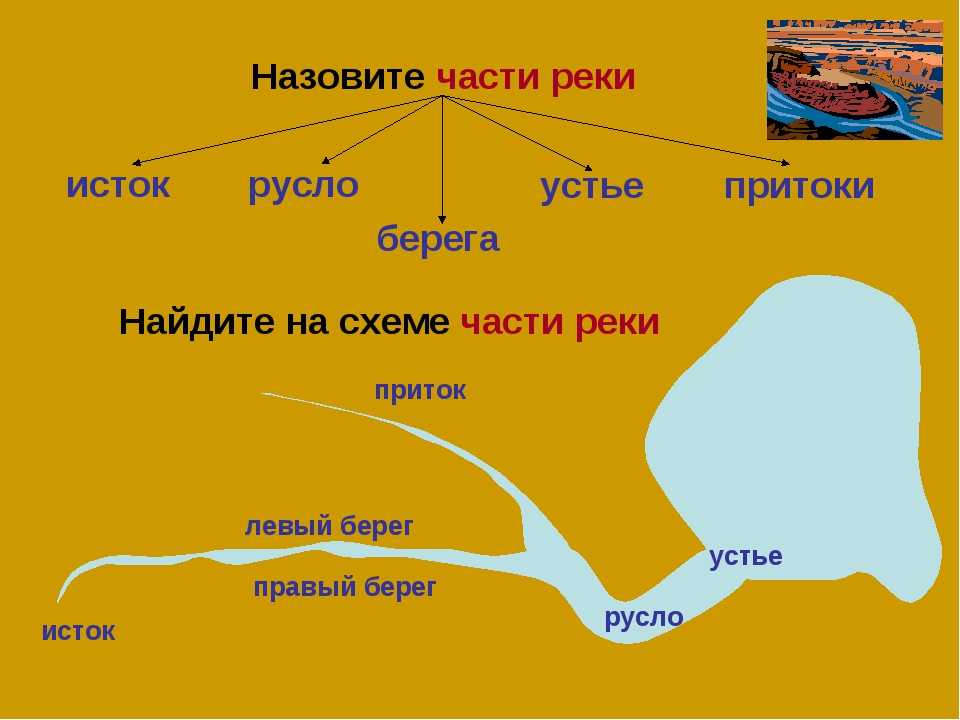 Устье реки – это ее начало или конец? :: syl.ru