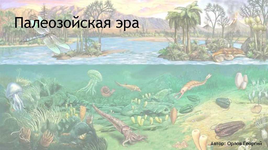Палеозойская эра (540–252 млн лет назад)