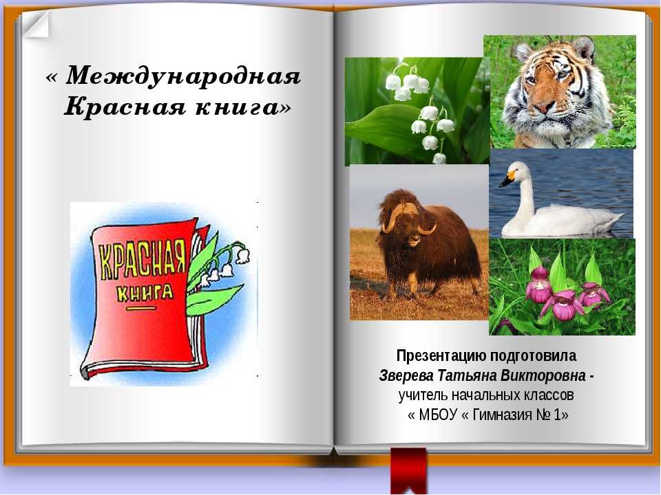 Животные, занесенные в красную книгу россии