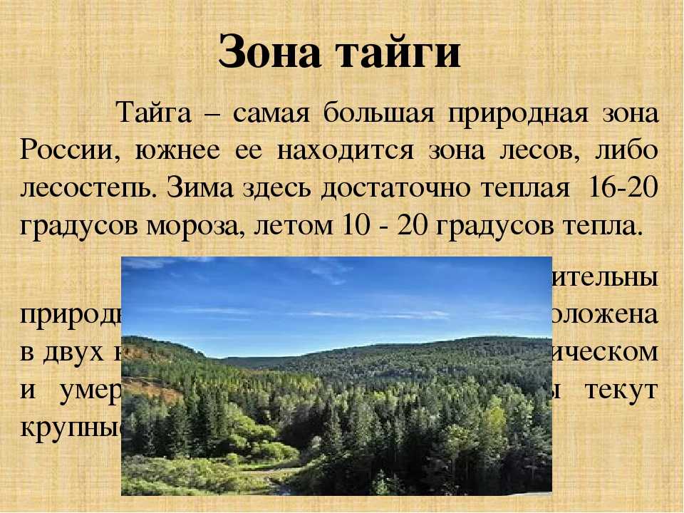 Безлесные природные зоны россии ️ климатические условия северных и южных территорий, характерные особенности рельефа, растительный и животный мир