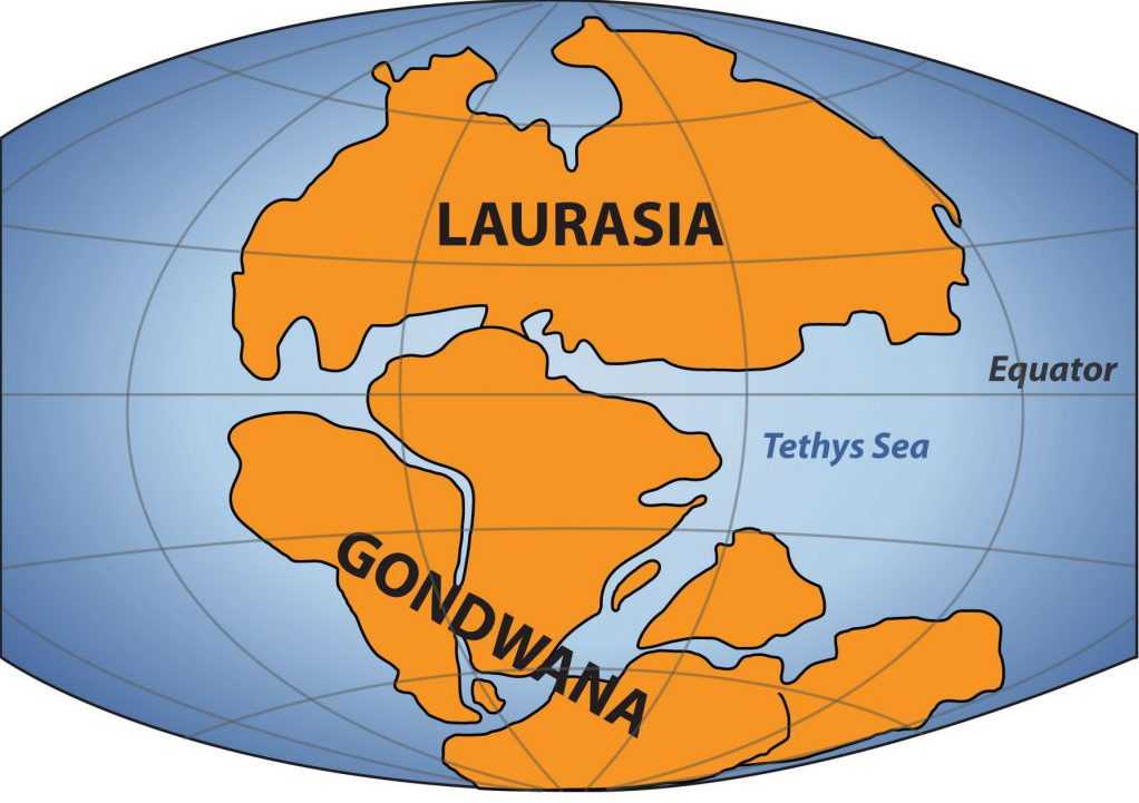Пангея – это сверхконтинент, который включал в свой состав почти всю суши Земли Однако и до Пангеи существовали иные континенты, из которых она образовалась Какое же название носил самый первый материк в истории нашей планеты