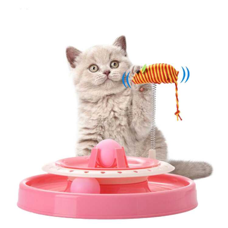 Какие игрушки любят кошки, топ лучших игрушек для кошек