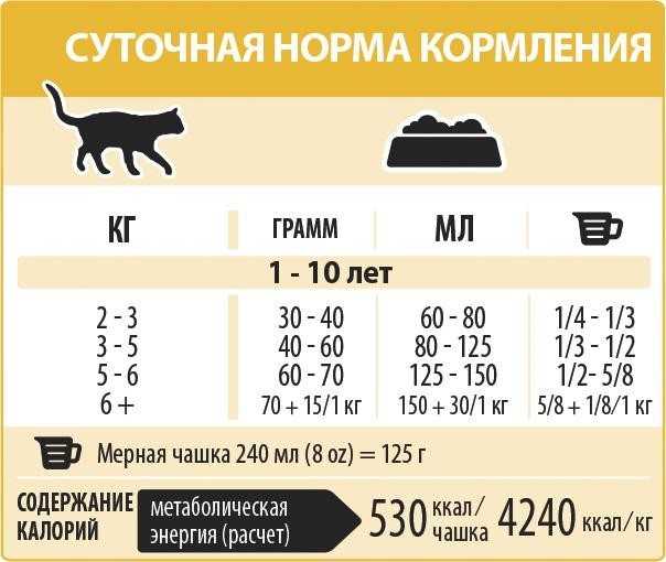 Рейтинг кормов для кошек 2022 (по качеству) - петобзор