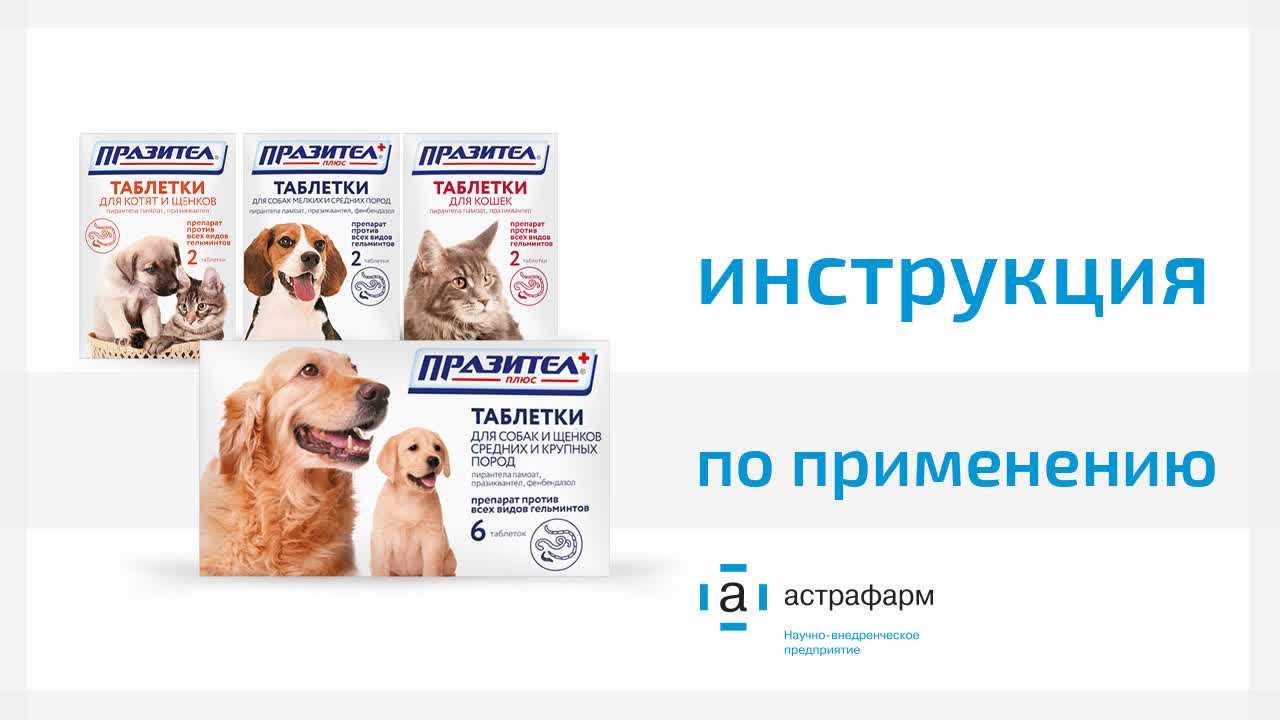 Празител для кошек: суспензия, таблетки, инструкция по применению, отзывы - kupipet.ru