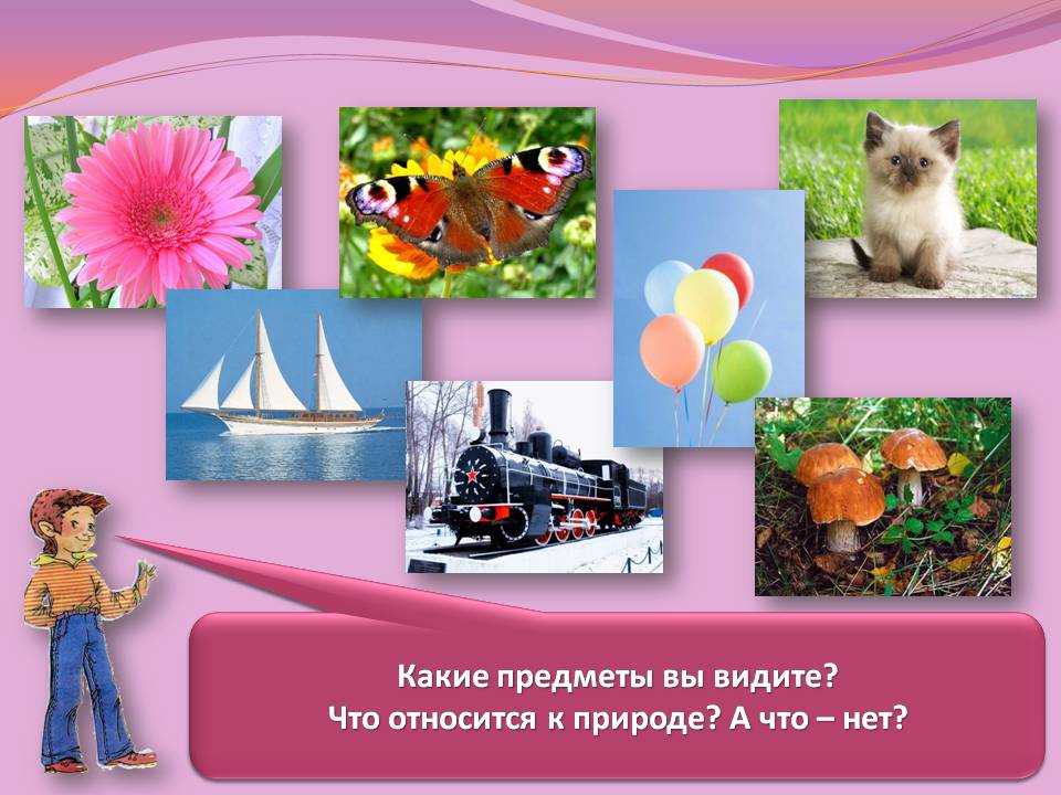 Что такое природа? живая и неживая природа. значение и разбор слова "природа" :: syl.ru