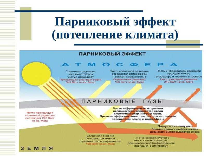 Глобальное потепление климата в россии и мире: что это такое, причины, последствия и пути решения проблемы