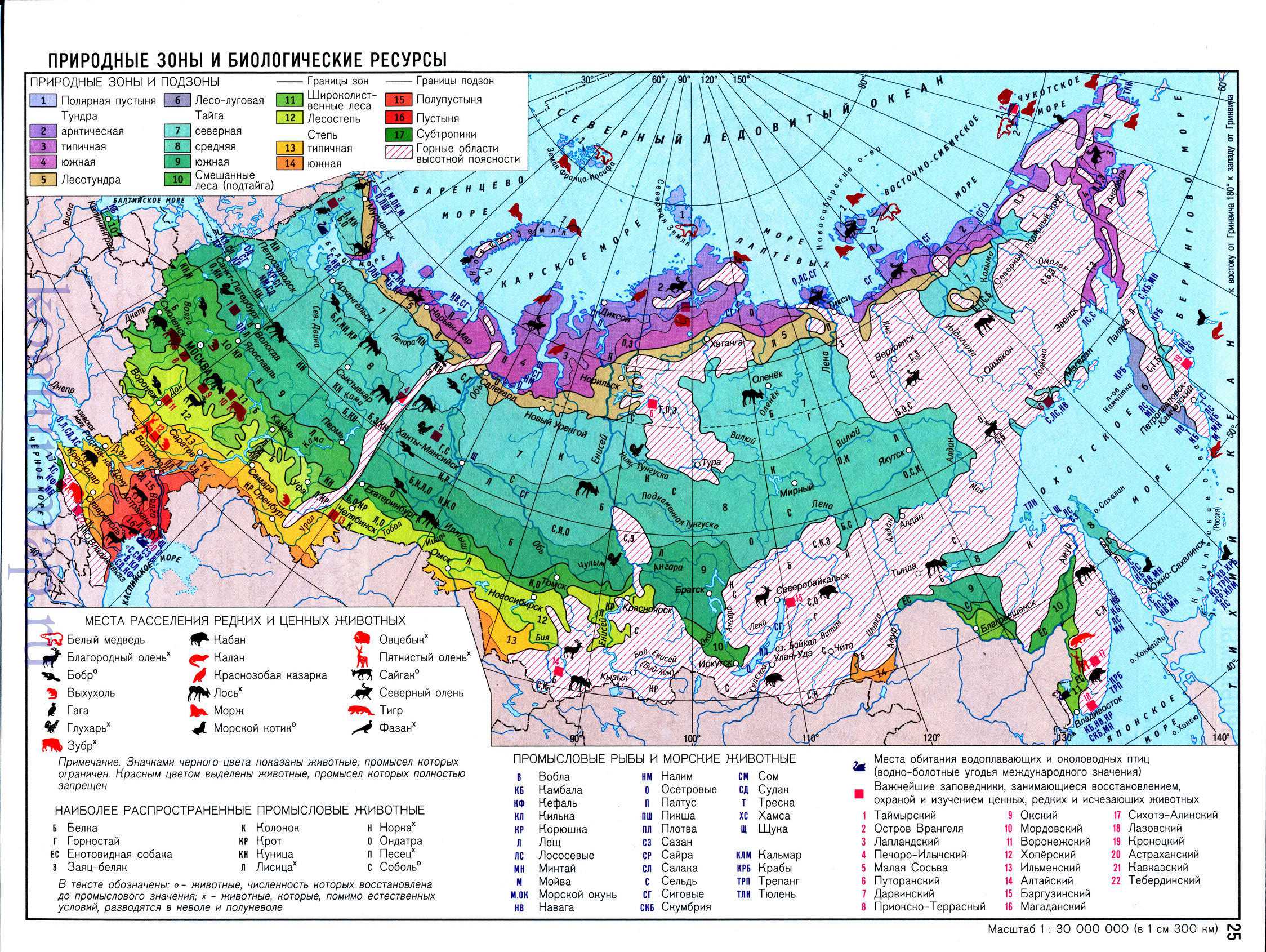 Природные зоны северного кавказа ️ особенности климата и рельефа