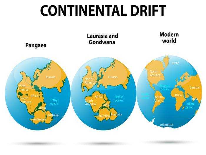 Что такое континент и сколько материков на земле
