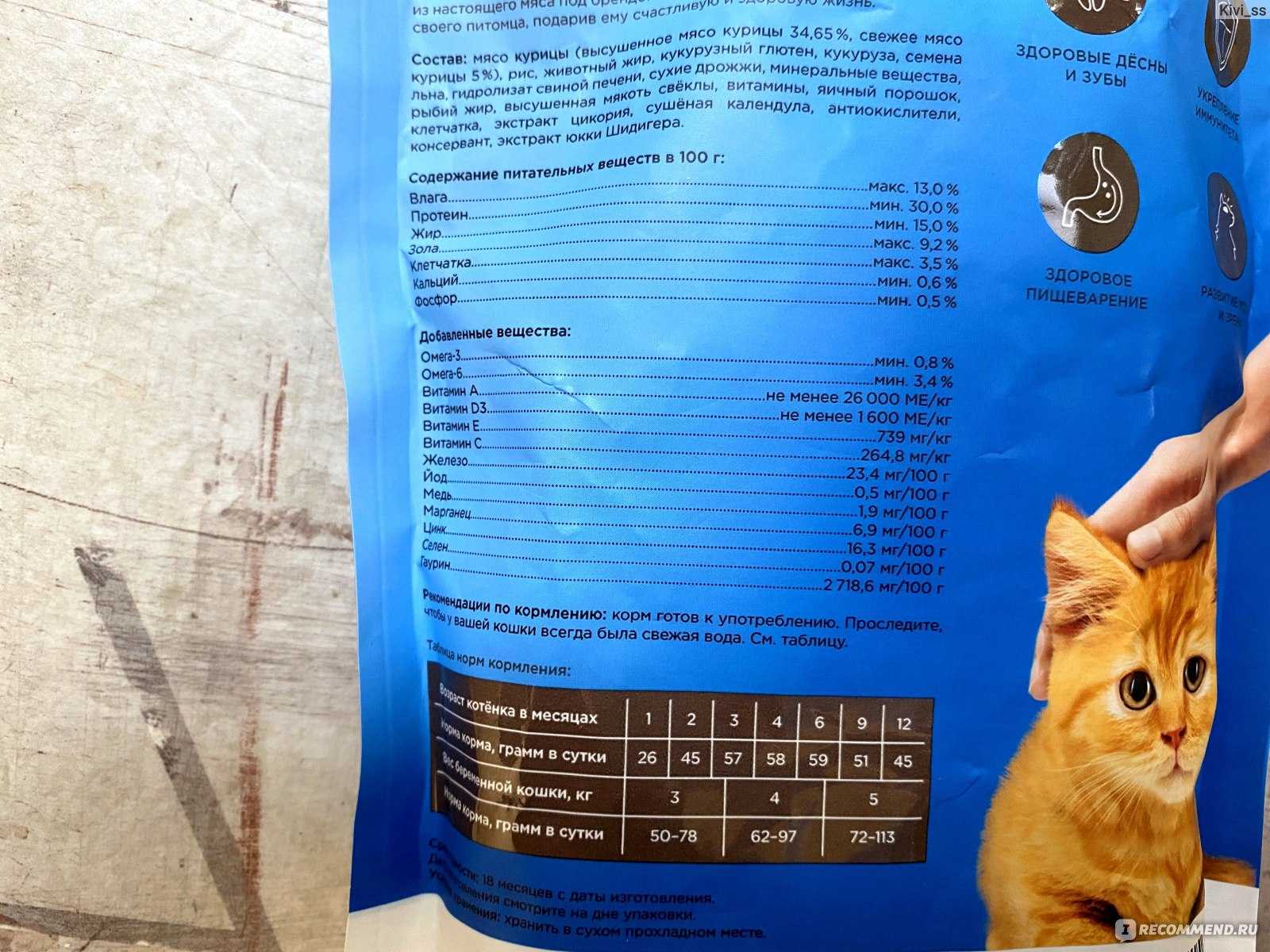 Узнайте чем можно кормить беременную кошку Подробно какие корма рекомендуем, чем кормить в домашних условиях Витамины для кошек при беременности