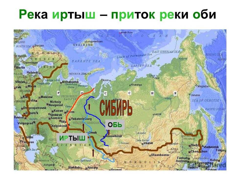 Длина всей россии