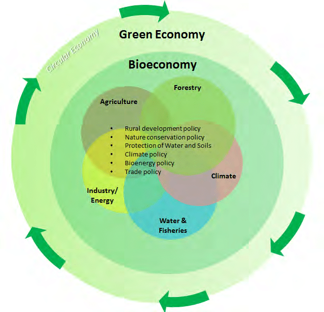 Экология: организмы и среды их обитания, деятельность организмов, экологические факторы и ресурсы