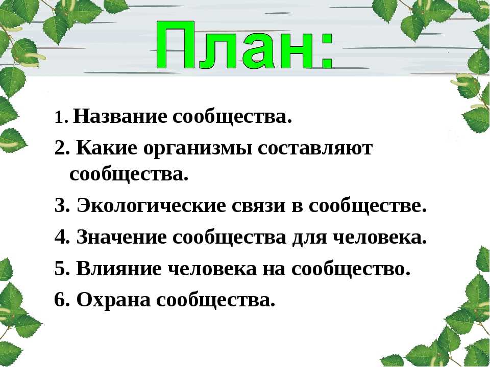 Окружающий мир 4 класс план. План изучения природного сообщества. Какие организмы составляют сообщество. Название природного сообщества – лес.. План изучения природного сообщества название сообщества.