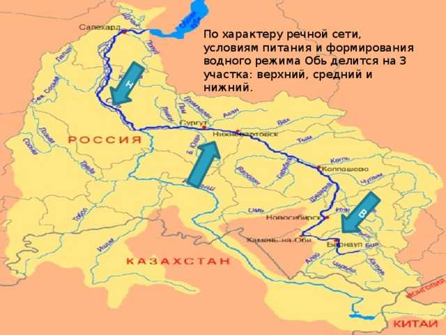 Река обь в западной сибири от истока до устья в деталях