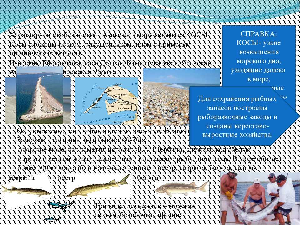 Самые маленькие моря в россии по площади: топ-10