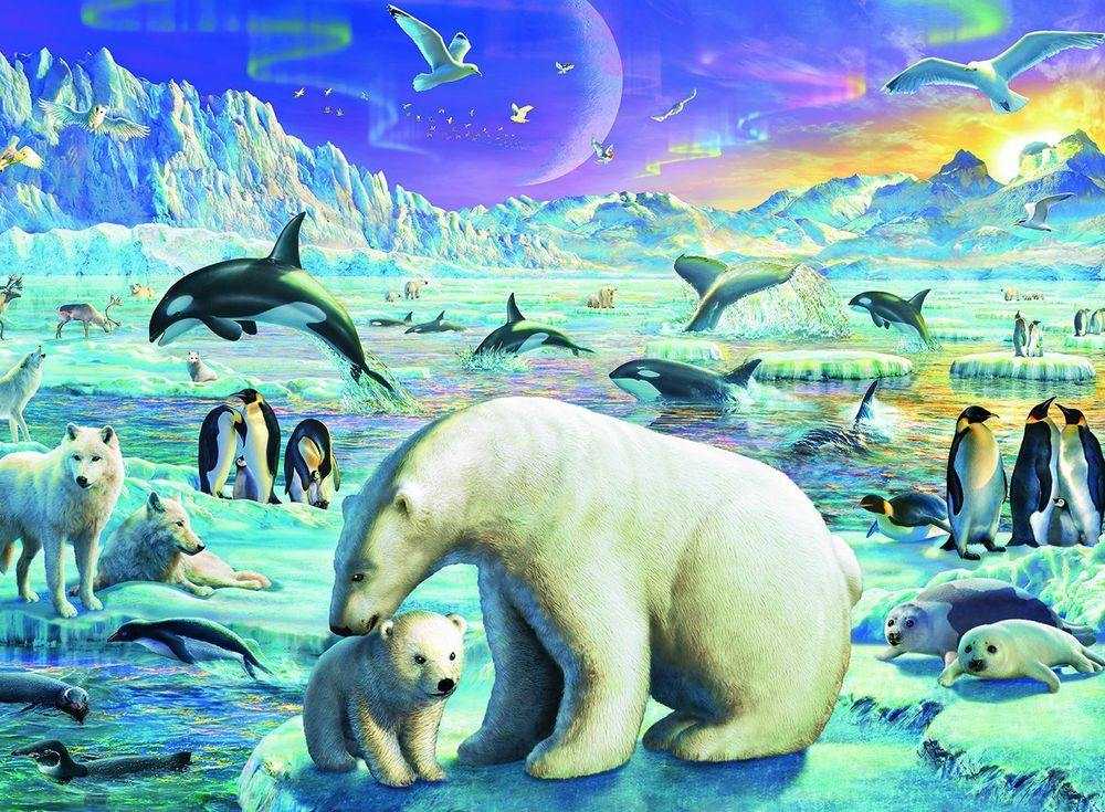 Особенности природы арктики: живая и неживая природа