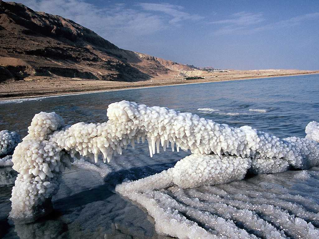 25 интересных фактов о мертвом море - новости кирова и кировской области