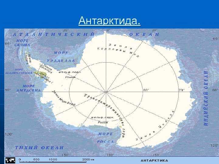 Океаны которые омывают антарктиду