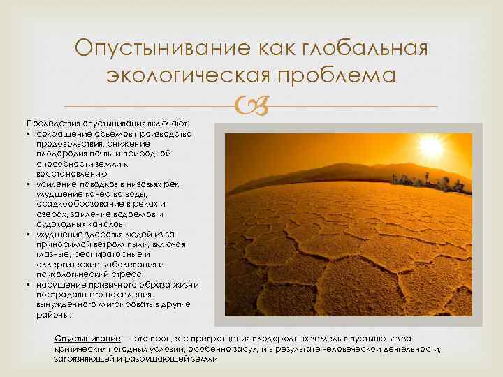 Выступление на экоконференции " проблемы опустынивания нланеты"