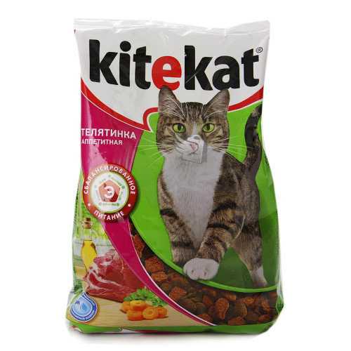 Корм для кошек китикет (kitekat) - отзывы и советы ветеринаров