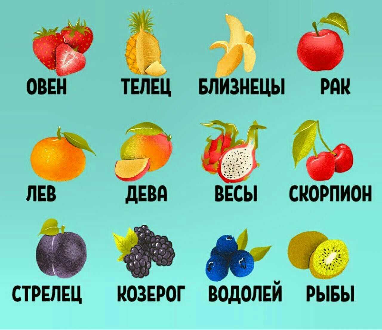 Знаки зодиака фрукты