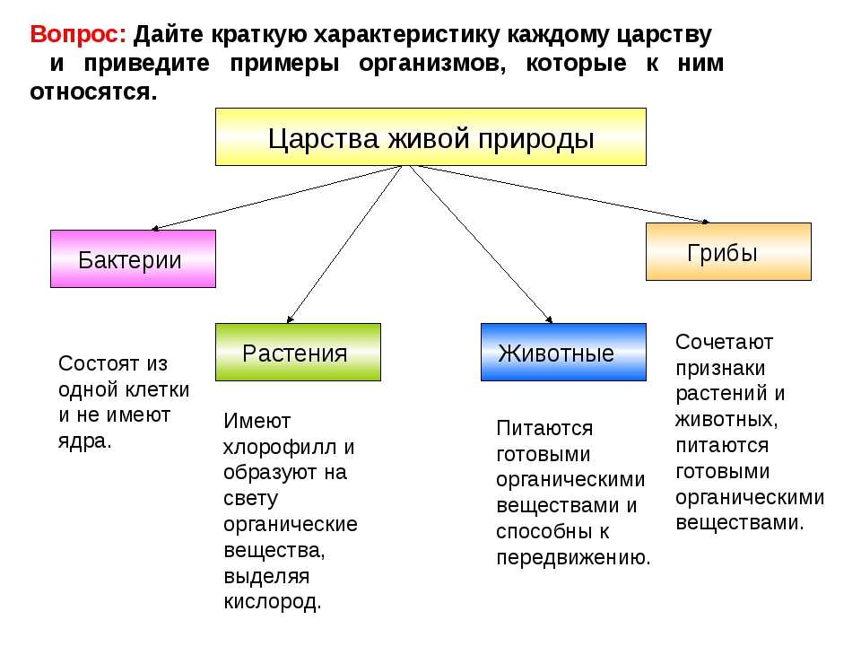 Урок 2: систематика органического мира - 100urokov.ru