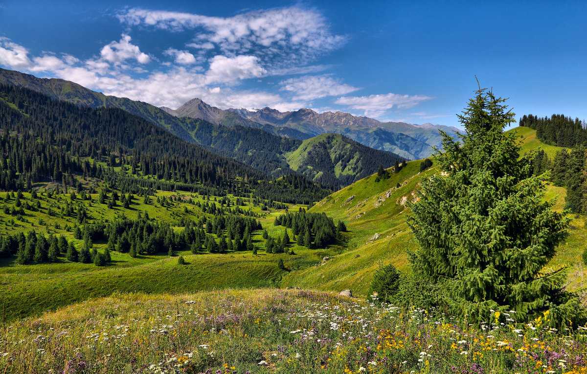 20 лучших памятников природы казахстана