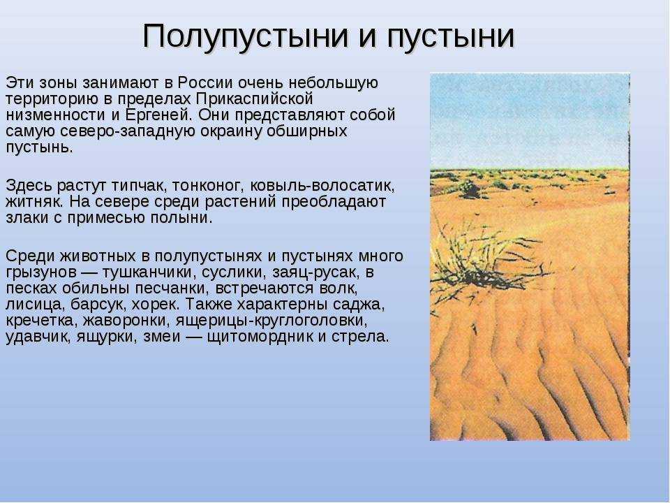 Пустыня западной африки:список, расположение на карте, животные и растения | tvercult.ru