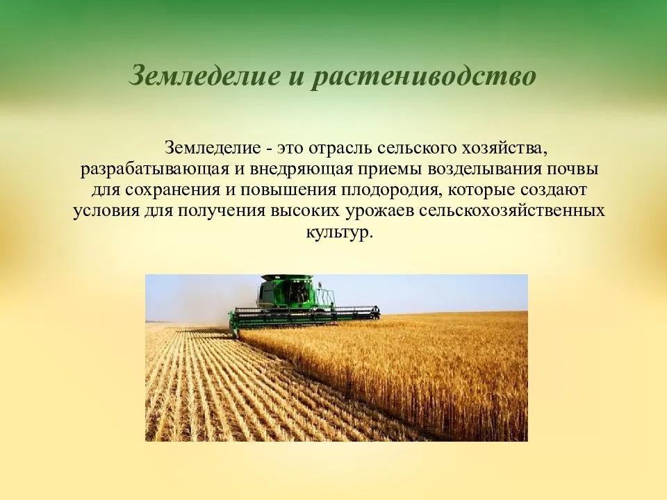 Современное состояние и перспективы развития сельского хозяйства - концепции и сущность