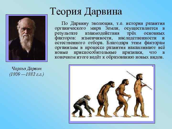 Биологическая эволюция: понятие, суть, признаки и факторы