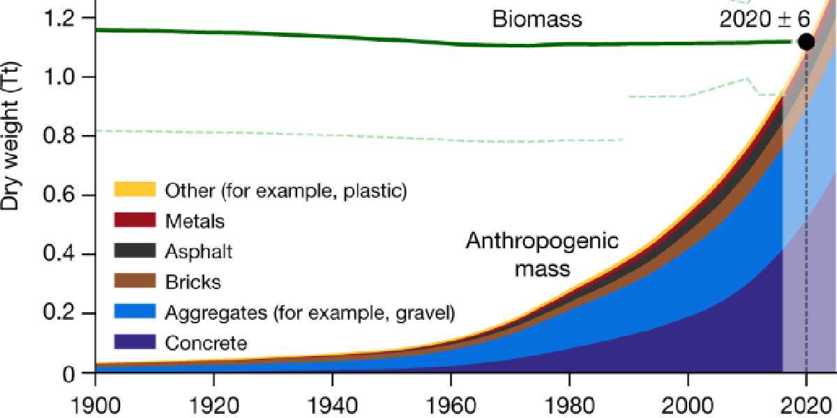 Биосфера – глобальная экосистема. учение в.и. вернадского о биосфере. живое вещество, его функции. особенности распределения биомассы на земле