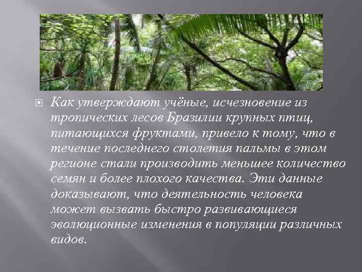 Как сделать исчезновение в презентации