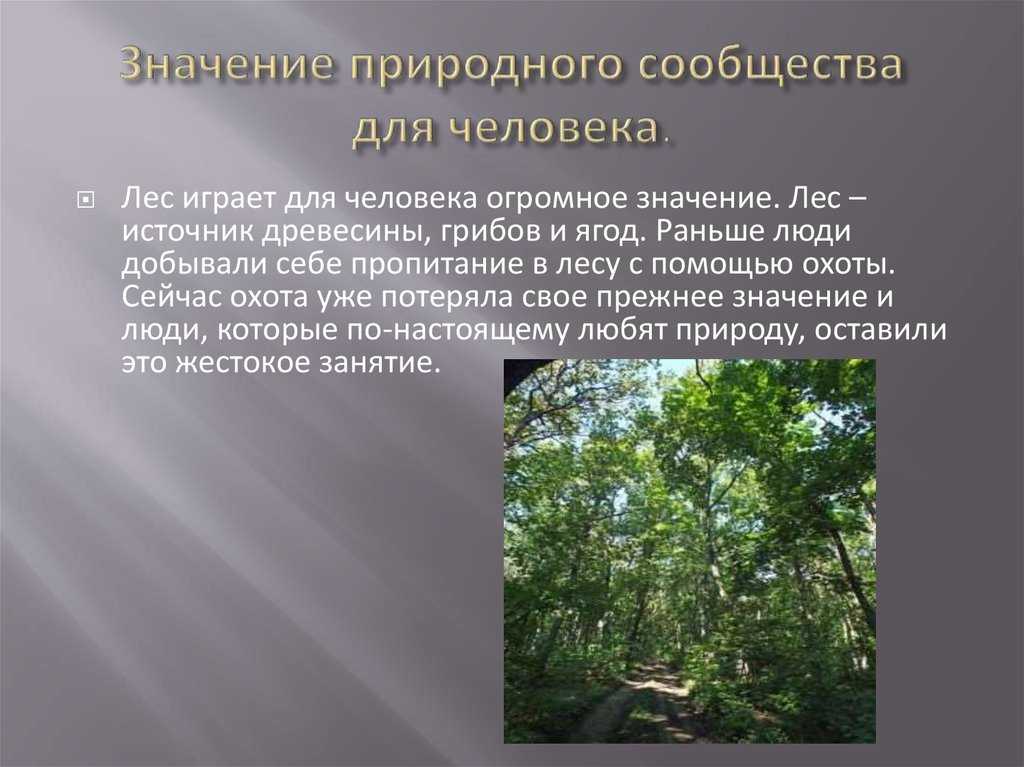Растения и животные широколиственных лесов