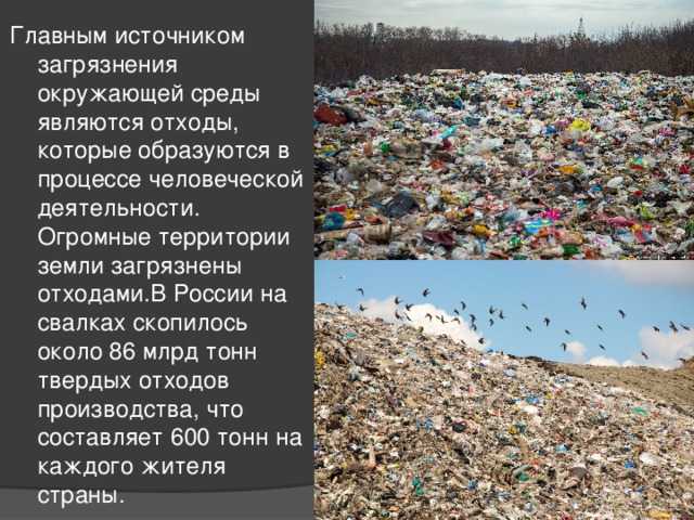 Штраф за мусор в неположенном месте: где запрещено создавать свалки и мусорить