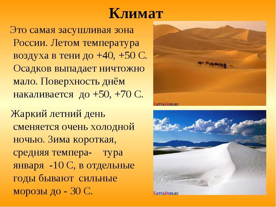 Топ-10 самых больших пустынь мира — песчаные гиганты нашей планеты